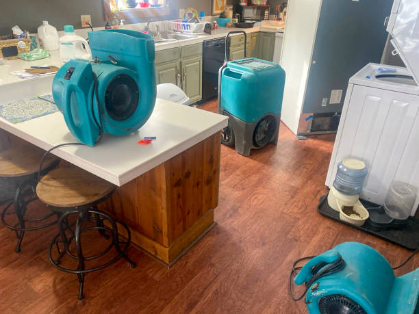 Water damage restoration experts in SD