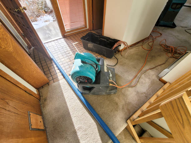 Best Carpet water damage restoration  in Rapid Valley, SD
