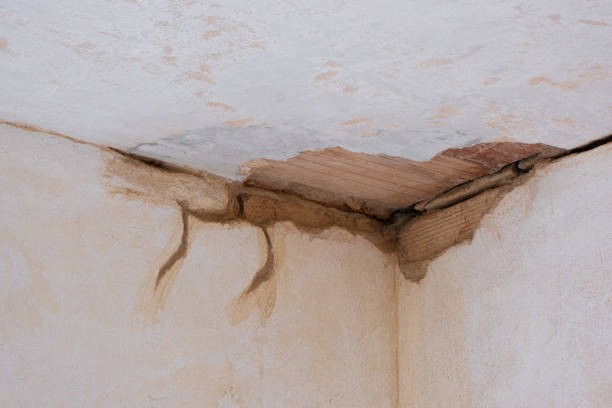 Best Water damage restoration experts  in Rapid Valley, SD