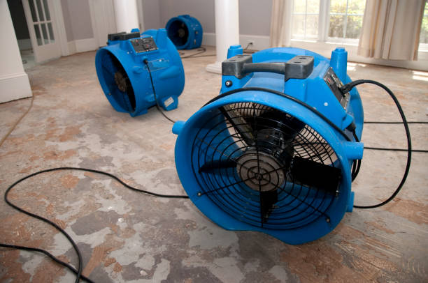 Best Water damage contractors near me  in Rapid Valley, SD