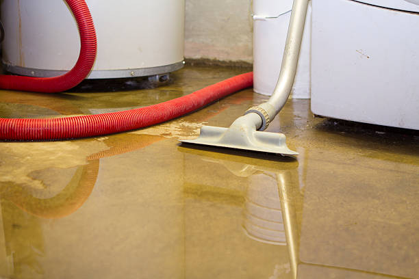 Best Professional water damage repair  in Rapid Valley, SD
