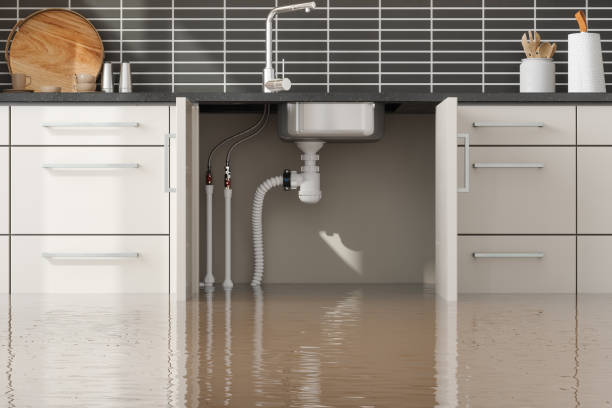 Best Water damage restoration near me  in Rapid Valley, SD