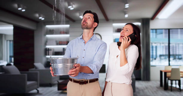 Best Local water damage restoration  in Rapid Valley, SD