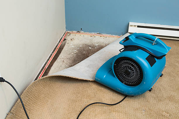 Best Flood damage cleanup  in Rapid Valley, SD
